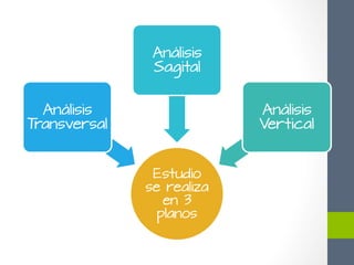 Estudio
se realiza
en 3
planos
Análisis
Transversal
Análisis
Sagital
Análisis
Vertical
 