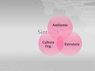 Ambiente

Sintonia
 Cultura
             Estrutura
  Org.
 