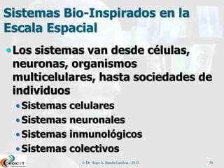 Sistemas Bio-Inspirados en la
Escala Espacial
Los sistemas van desde células,
neuronas, organismos
multicelulares, hasta sociedades de
individuos
 Sistemas celulares
 Sistemas neuronales
 Sistemas inmunológicos
 Sistemas colectivos
© Dr. Hugo A. Banda Gamboa - 2015 34
 