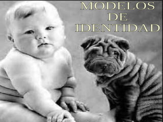 MODELOS  DE IDENTIDAD 