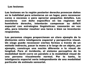 Las lesiones en la región posterior derecha provocan daños
en la habilidad para orientarse en un lugar, para reconocer
caras o escenas o para apreciar pequeños detalles. Los
escolares con daño específico en las regiones del
hemisferio derecho, intentarán compensar su déficit
espacial con estrategias lingüísticas: razonarán en voz
alta, para intentar resolver una tarea o bien se inventarán
respuestas.
Las personas ciegas proporcionan un claro ejemplo de la
distinción entre inteligencia espacial y perspectiva visual.
Un ciego puede reconocer ciertas formas a través de un
método indirecto, pasar la mano a lo largo de un objeto, por
ejemplo, construye una noción diferente a la visual de
longitud. Para el invidente, el sistema perceptivo de la
modalidad táctil corre en paralelo a la modalidad visual de
una persona visualmente normal. Por lo tanto, la
inteligencia espacial sería independiente de una modalidad
particular de estímulo sensorial.
Las lesiones
 