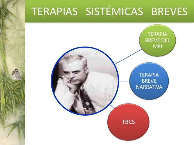 TERAPIA BREVE CENTRADA EN SOLUCIONES PDF