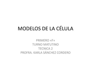 MODELOS DE LA CÉLULA

         PRIMERO «F»
       TURNO MATUTINO
           TECNICA 2
PROFRA. KARLA SÁNCHEZ CORDERO
 