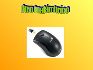 Modelos de mouse