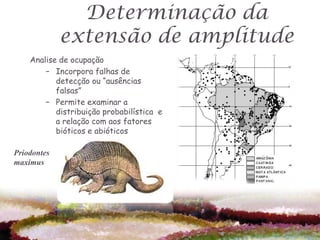 Determinação da
             extensão de amplitude
    Analise de ocupação
        – Incorpora falhas de
           detecção ou “ausências
           falsas”
        – Permite examinar a
           distribuição probabilística e
           a relação com aos fatores
           bióticos e abióticos

Priodontes
maximus
 