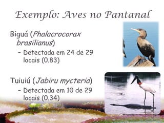 Exemplo: Aves no Pantanal

Biguá (Phalacrocorax
  brasilianus)
  – Detectada em 24 de 29
    locais (0.83)


Tuiuiú (Jabiru mycteria)
  – Detectada em 10 de 29
    locais (0.34)
 