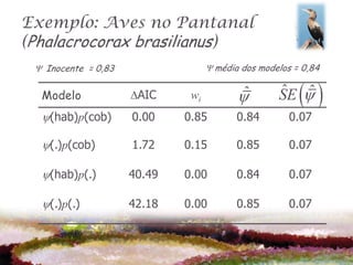Exemplo: Aves no Pantanal
(Phalacrocorax brasilianus)
 Y Inocente = 0,83                 Y média dos modelos = 0,84


  Modelo             DAIC     wi          ˆ       ˆ ˆ
                                                   SE   
  (hab)p(cob)       0.00    0.85         0.84        0.07

  (.)p(cob)         1.72    0.15         0.85        0.07

  (hab)p(.)         40.49   0.00         0.84        0.07

  (.)p(.)           42.18   0.00         0.85        0.07
 