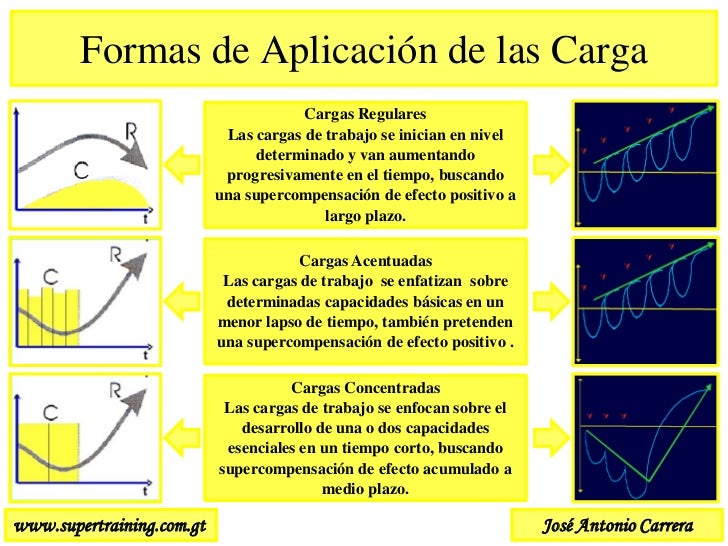 Modelos De Planificacion Deportiva