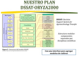 Modelos de prediccion y cambio climatico