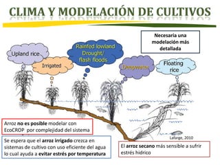 Modelos de prediccion y cambio climatico