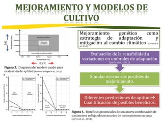 Modelos de prediccion y cambio climatico