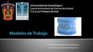 Universidad de Guadalajara
Centro Universitario de Ciencias de la Salud
T.S.U en Prótesis Dental
C.D. ARMANDO ARAMIS ANAYA GONZÁLEZ.
LABORATORIO DE RESTAURACIONES INDIVIDUALES
 