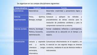 Campo disciplinar Disciplinas Función
Matemáticas Matemáticas Desarrollar creatividad y pensamiento lógico y
crítico.
Ciencias
experimentales
Física, Química,
Biología, ecología
Conozcan y apliquen los métodos y
procedimientos de dichas ciencias para la
resolución de problemas cotidianos y para la
comprensión racional de su entorno.
Ciencias sociales Historia, Sociología
Política, Economía,
Administración.
Formar ciudadanos reflexivos y participativos,
conscientes de su ubicación en el tiempo y el
espacio.
Comunicación Lectura y expresión
oral y escrita,
Literatura , Lengua
extranjera,
Informática.
Comunicarse efectivamente en el español y en
lo esencial en una segunda lengua en diversos
contextos, mediante el uso de distintos medios e
instrumentos.
Se organizan en los campos disciplinares siguientes:
 