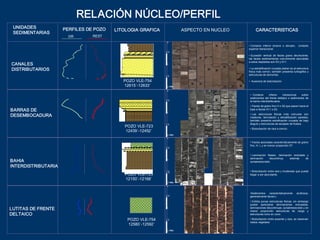 RELACIÓN NÚCLEO/PERFIL
 UNIDADES             PERFILES DE POZO    LITOLOGIA GRAFICA                 ASPECTO EN NUCLEO          CARACTERISTICAS 
 SEDIMENTARIAS 
                        GR       REST 
                                                                 0 
                                                                                                 • Contacto  inferior  erosivo  o  abrupto,    contacto 
                                                                                                 superior transicional. 
                                                                0.5 
                                                                                                 • Sucesión  vertical  de  facies  grano  decreciente, 
                                                                                                 las  facies  sedimentarias  comúnmente  asociadas 
                                                                                                 a estos depósitos son S3 y S11. 
CANALES                                                          1
                                                                                                 • La estratificación cruzada planar es al estructura 
DISTRIBUTARIOS                                                                                   física más común, también presenta turboglifos y 
                                                                1.5 
                                                                                                 estructuras de derrumbe. 

                                             POZO VLE­754                                        •  Ausencia de bioturbación 
                                             12615´­12633´       2 PIES 
                                                                 0 
                                                                                                  •  Contacto      inferior     transicional    sobre 
                                                                                                  sedimentos  del  frente  deltaico  o  sedimentos  de 
                                                                0.5                               la bahía interdistributaria. 
                                                                                                  • Facies de grano fino H o S2 que pasan hacia el 
BARRAS DE                                                        1
                                                                                                  tope a facies S11 o S3. 
                                                                                                  • Las  estructuras  fisicas  más  comunes  son 
DESEMBOCADURA                                                                                     rizaduras,  laminación  y  estratificación  paralela, 
                                                                                                  también  presenta  estraficación  cruzada  de  bajo 
                                                                1.5                               ángulo y estructuras de escapes de fluidos. 
                                              POZO VLE­723 
                                                                                                  • Bioturbación de rara a común. 
                                              12439´­12452´ 
                                                                 2  PIES 
                                                                 0 
                                                                                                  • Facies asociadas característicamente de grano 
                                                                                                  fino, H, L y en menor proporción ST 
                                                                0.5 


                                                                                                  • Laminación  flasser,  laminación  ondulada  y 
                                                                                                  laminación      discontinua,     además      de 
BAHIA                                                            1
                                                                                                  synaeresiscrads. 
INTERDISTRIBUTARIA 
                                                                1.5                               • Bioturbación entre rara y moderada que puede 
                                              POZO VLE­723                                        llegar a ser abundante. 
                                              12150´­12168´ 
                                                                 2  PIES 
                                                                 0 


                                                                                                  •Sedimentos  característicamente          arcillosos, 
                                                                0.5                               generalmente facies L. 
                                                                                                  • Exhibe  pocas  estructuras  físicas,  sin  embargo 
                                                                                                  puede  apreciarse  laminaciones  onduladas, 
                                                                                                  laminaciones discontinuas, synaeresiscrads y en 
LUTITAS DE FRENTE                                                1
                                                                                                  menor  proporción  estructuras  de  carga  y 
DELTAICO                                                                                          estructuras cono en cono. 

                                               POZO VLE­754     1.5                               • Bioturbación entre ausente y rara, se observan 
                                                                                                  restos vegetales 
                                               12580´­12592´ 
                                                                 2  PIES 
 