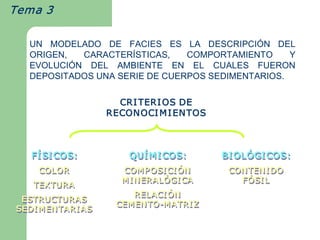 Tema 3  

    UN  MODELADO  DE  FACIES  ES  LA  DESCRIPCIÓN  DEL 
    ORIGEN,   CARACTERÍSTICAS,   COMPORTAMIENTO      Y 
    EVOLUCIÓN  DEL  AMBIENTE  EN  EL  CUALES  FUERON 
    DEPOSITADOS UNA SERIE DE CUERPOS SEDIMENTARIOS. 

                        CRI TERI OS DE 
                      RECONOCI M I ENTOS 



    F Í SI COS: 
    F   
    FÍ                    QU Í M I COS: 
                          QU   
                          QUÍ                 BI OL Ó GI COS: 
                                                 OL Ó 
                                                 OLÓGI
      COLOR 
      COLOR             COM P OSI CI Ó N  
                        COM P OSI CI Ó   
                                       
                                      ÓN       CON TEN I DO 
                                               CON TEN I DO 
                        M I N ERAL Ó GI CA 
                        M I N ERAL Ó 
                              ERALÓGI CA         F Ó SI L
                                                 F 
                                                 FÓSI L 
                                                   Ó 
    TEXTURA 
    TEXTURA 
                          RELACI Ó N  
                           RELACI    
                                    Ó 
                                    ÓN
  ESTRUCTURAS 
  ESTRUCTURAS          CEM EN TO ­M ATRI Z 
                       CEM EN TO  ATRI Z 
                                 ­ 
                              TO­M
 SEDI M EN TARI AS 
 SEDI M EN TARI AS 
 