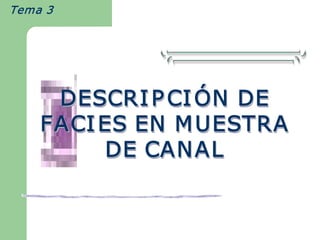 Tema 3  




      DESCRI P CI Ó N DE 
                  Ó 
                   
                  ÓN DE 
     FACI ES EN M UESTRA 
           DE CANAL
           DE CANAL 
 