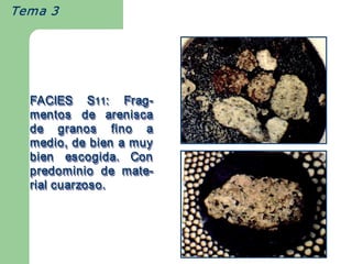 Tema 3




  FACIES  S11:  Frag ­ 
             S 
              11  Frag 
                  Frag­ 
  mentos  de  arenisca 
  de  granos  fino  a 
  medio, de bien a muy 
  bien  escogida.  Con 
  predominio  de  mate­ 
                  mate 
                  mate­ 
  rial cuarzoso. 
 
