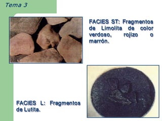 Tema 3

                             FACIES  ST:  Fragmentos 
                             de  Limolita  de  color 
                             verdoso,     rojizo   o 
                             marr ó n. 
                             marr ó 
                             marrón. 




   FACIES  L:  Fragmentos 
   de Lutita. 
 