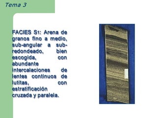 Tema 3



  FACIES  S1:  Arena  de 
            S 
             1 
  granos  fino  a  medio, 
  sub ­angular  a  sub ­ 
  sub  ­ 
  sub­angular        sub 
                     sub­ 
  redondeado,        bien 
  escogida,           con 
  abundante 
  intercalaciones      de 
  lentes  continuos  de 
  lutitas,            con 
  estratificaci ó n 
  estratificaci ó 
  estratificación 
  cruzada y paralela. 
 
