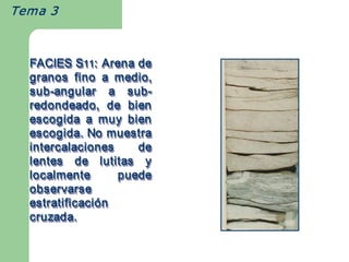Tema 3



  FACIES S11: Arena de 
  FACIES S   11 
  granos  fino  a  medio, 
  sub ­angular  a  sub ­ 
  sub ­ 
  sub­angular         sub 
                       sub­ 
  redondeado,  de  bien 
  escogida  a  muy  bien 
  escogida. No muestra 
  intercalaciones       de 
  lentes  de  lutitas  y 
  localmente         puede 
  observarse 
  estratificaci ó n 
  estratificaci ó 
  estratificación 
  cruzada. 
 