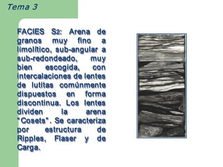 Tema 3


  FACIES  S2:  Arena  de 
               S 2 
  granos  muy  fino  a 
  limol ítico ,  sub ­angular  a 
  limol tico  sub 
        í             ­ 
  limolítico,  sub­angular 
  sub ­redondeado,  muy 
  sub ­ 
  sub­redondeado, 
  bien  escogida,  con 
  intercalaciones de lentes 
  de  lutitas  com ú nmente 
                  com    ú 
                  comúnmente 
  dispuestos  en  forma 
  discontinua.  Los  lentes 
  dividen          la       arena 
  “ Cosets ” .  Se  caracteriza 
    Cosets   
     
    Cosets”
  por       estructura         de 
  Ripples,  Flaser  y  de 
  Carga. 
 
