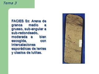 Tema 3




   FACIES  S3:  Arena  de 
             S 
              3 
   granos       medio     a 
   grueso, sub ­angular a 
   grueso, sub   ­ 
   grueso, sub­angular a 
   sub ­redondeado, 
   sub ­ 
   sub­redondeado, 
   moderada  a    bien 
   escogida,           con 
   intercalaciones 
   espor ádicas de lentes 
   espor  á 
   esporádicas de lentes 
   y clastos de lutitas. 
   y clastos de lutitas. 
 