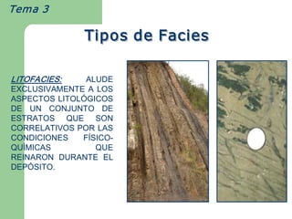 Tema 3  

                Tipos de Facies  
                Tipos de Facies 

LITOFACIES:    ALUDE 
EXCLUSIVAMENTE  A  LOS 
ASPECTOS LITOLÓGICOS 
DE  UN  CONJUNTO  DE 
ESTRATOS  QUE  SON 
CORRELATIVOS POR LAS 
CONDICIONES   FÍSICO­ 
QUÍMICAS          QUE 
REINARON  DURANTE  EL 
DEPÓSITO.
 