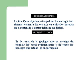 BIOESTRATIGRAFIA 

La función u objetivo pr incipal estr iba en or ganizar  
La funci   ó 
sistem á ticamente  los  estr atos  en  unidades  basadas 
sistem á 
en el contenido y distr ibución de sus fósiles. 
                         ibuci  n de sus f 
                               ó           ó 
                  SEDIMENTOLOGÍA 



 Es  la  r ama  de  la  geología  que  se  encar ga  de 
                          geolog 
                                í 
 estudiar   las  r ocas  sedimentar ias  y  de  todos  los 
 pr ocesos que act ú an  en su for mación
    ocesos que act   ú             maci  n 
                                         ó 
 