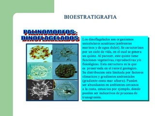 BIOESTRATIGRAFIA



     Los dinoflagelados son organismos 
      Los dinoflagelados son organismos 
     unicelulares acuáticos (ambientes 
      unicelulares acuáticos (ambientes 
     mar inos y de agua dulce). Se car acter izan 
      mar inos y de agua dulce). Se car acter izan 
     por  un ciclo de vida, en el cual se gener a 
      por  un ciclo de vida, en el cual se gener a 
     un quiste. Al par ecer , este quiste tiene 
      un quiste. Al par ecer , este quiste tiene 
     funciones vegetativas, r eproductivas y/o 
      funciones vegetativas, r eproductivas y/o 
     fisiológicas. Esta estr uctura es la que 
      fisiológicas. Esta estr uctura es la que 
     es  preser vada en el r ecor ddgeologico. 
      es  preser vada en el r ecor geologico. 
     Su distr ibucion esta limitada por  factor es 
      Su distr ibucion esta limitada por  factor es 
     climaticos y gradientes ambientales 
      climaticos y gradientes ambientales 
     (gr adiente costa­mar  afuer a). Pueden 
      (gr adiente costa­mar  afuer a). Pueden 
     ser  abundantes en ambientes cer canos 
      ser  abundantes en ambientes cer canos 
     a la costa, estuar ios por ejemplo, donde 
      a la costa, estuar ios por ejemplo, donde 
     pueden ser  indicativos de procesos de 
      pueden ser  indicativos de procesos de 
     tr ansgr esión. 
      tr ansgr esión. 
 