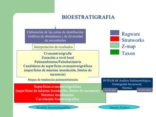 BIOESTRATIGRAFIA

       Elaboración de las cartas de distribución/ 
        Gráficos de abundancia y de diversidad 
                                                                           Ragware 
                    de microfósiles                                        Stratworks 
            Interpretación de resultados                                   Z­map 
                    Cr onoestratigrafía                                    Taxon 
                   Zonación a nivel local 
             Paleoambientes/Paleobatimer ía 
     Candidatos de super ficies cr onoestratigráficas 
     (super ficies de máxima inundación, límites de 
                        secuencia) 
        Mapas de tendencias paleoambientales                 INTEGRAR Análisis Sedimentológico, 
                                                                  Estratigrafía Secuencial, 
              Super ficies cr onoestratigráficas                           Sísmica 
(super ficies de máxima inundación, límites de secuencia)     FLUJO SED               FLUJO ESTR 

                  Sistemas encadenados 
               Cor relación bioestratigr áfica 

              Modelo bioestratigráfico                            Modelo Estático 
 