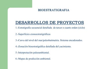 BIOESTRATIGRAFIA



DESARROLLOS DE PROYECTOS 
1.­Estratigrafía secuencial detallada  de tercer o cuarto orden (ciclo) 

2.­Superficies cronoestratigráficas 

3.­Curva del nivel del mar/paleobatimetria. Sistema encadenados. 

4.­Zonación bioestratigráfica detallada del yacimiento. 

5.­Interpretación paleoambiental. 

6.­Mapas de predicción ambiental. 
 