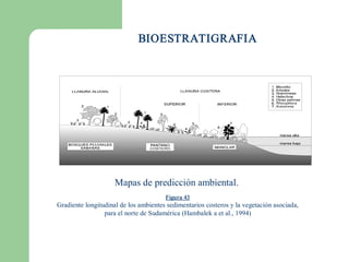 BIOESTRATIGRAFIA




                     Mapas de predicción ambiental. 
                                       Figura 43 
Gradiente longitudinal de los ambientes sedimentarios costeros y la vegetación asociada, 
                 para el norte de Sudamérica (Hambalek a et al., 1994) 
 