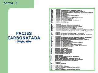 Tema 3  




     FACI ES 
  CARBONATADA 
  CARBONATADA 
       (Wright 
        Wright, 1990) 
       (      , 1990)
       (Wright, 1990) 
 
