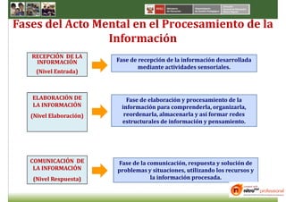 Fases del Acto Mental en el Procesamiento de la
                 Información
   RECEPCIÓN DE LA
    INFORMACIÓN          Fase de recepción de la información desarrollada
                                 mediante actividades sensoriales.
    (Nivel Entrada)



   ELABORACIÓN DE           Fase de elaboración y procesamiento de la
   LA INFORMACIÓN         información para comprenderla, organizarla,
   (Nivel Elaboración)     reordenarla, almacenarla y así formar redes
                          estructurales de información y pensamiento.




   COMUNICACIÓN DE       Fase de la comunicación, respuesta y solución de
    LA INFORMACIÓN       problemas y situaciones, utilizando los recursos y
   (Nivel Respuesta)                 la información procesada.
 