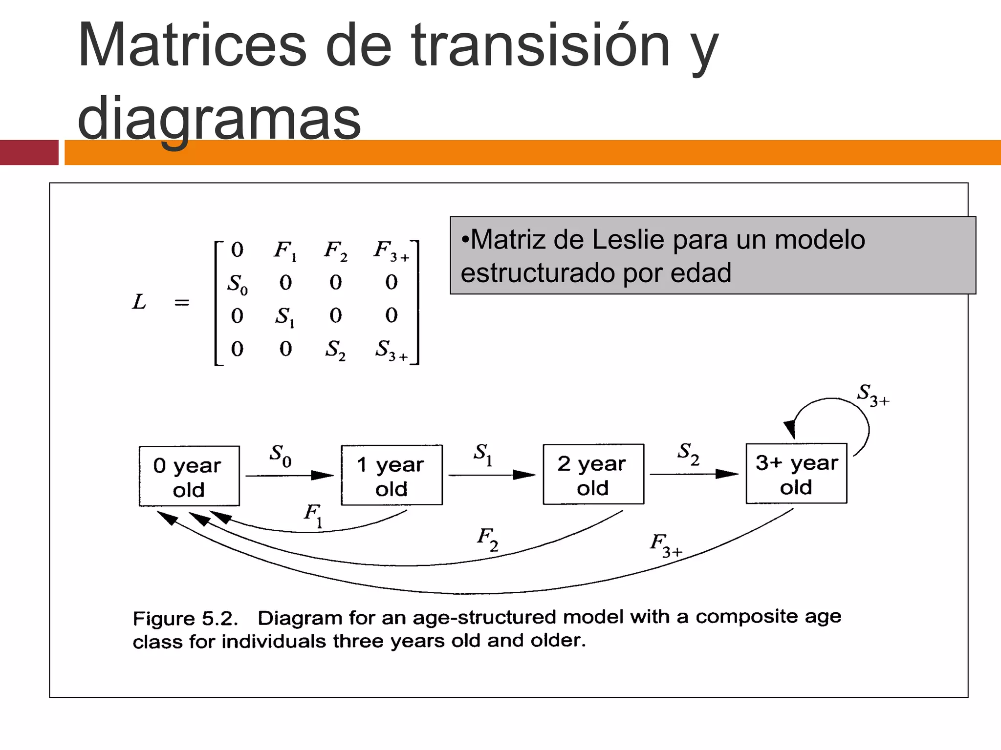 •Matriz de Leslie para un modelo
estructurado por edad
Matrices de transisión y
diagramas
 