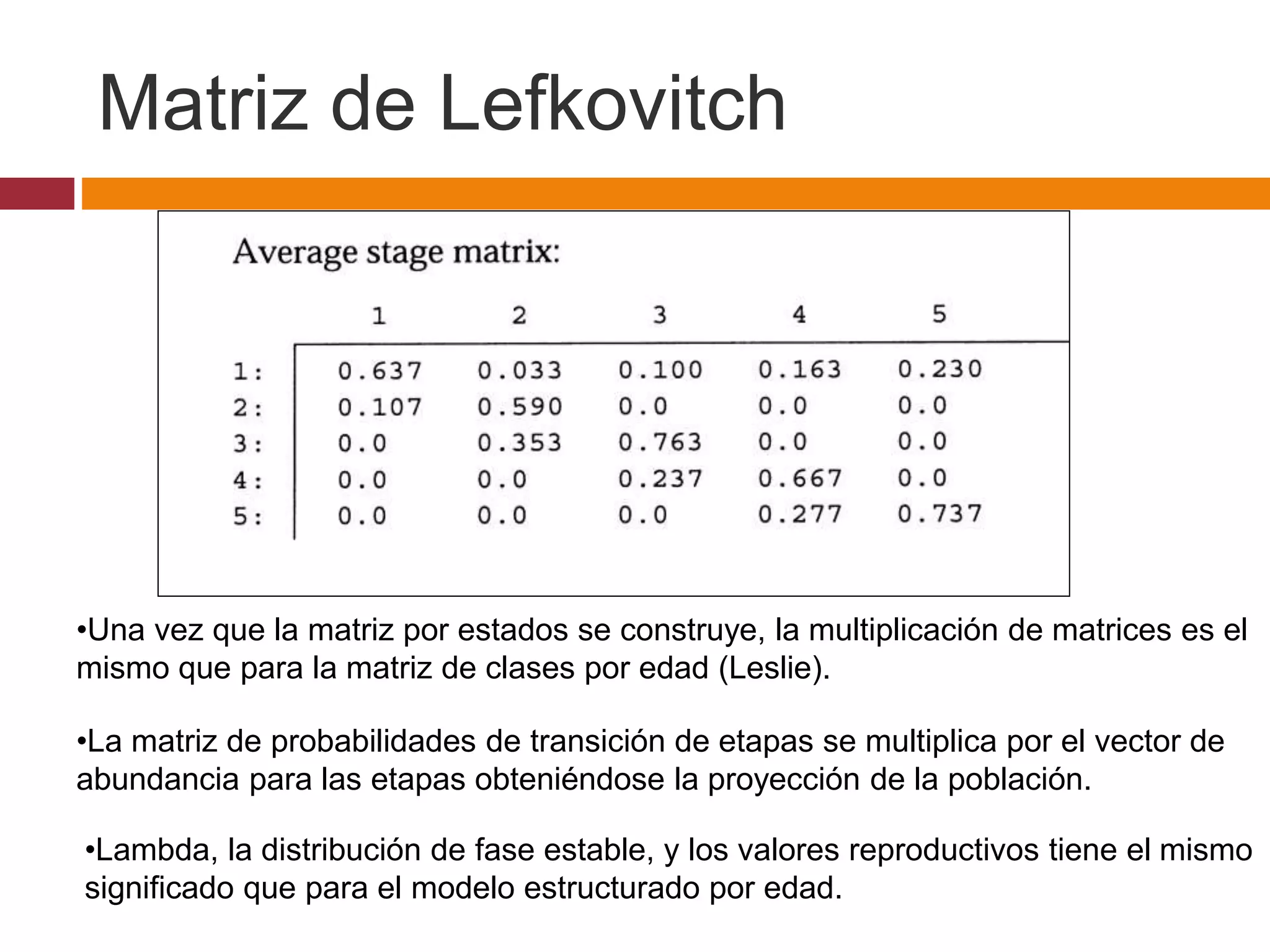 •Una vez que la matriz por estados se construye, la multiplicación de matrices es el
mismo que para la matriz de clases por edad (Leslie).
•La matriz de probabilidades de transición de etapas se multiplica por el vector de
abundancia para las etapas obteniéndose la proyección de la población.
•Lambda, la distribución de fase estable, y los valores reproductivos tiene el mismo
significado que para el modelo estructurado por edad.
Matriz de Lefkovitch
 