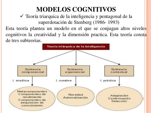 Modelos explicativos de las altas capacidades