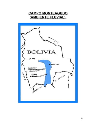 CAMPO MONTEAGUDO
(AMBIENTE FLUVIAL).
61
 