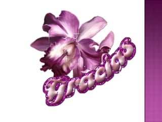 Gerencia en la Educacion Venezolana