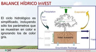 Análisis de Vulnerabilidad hídrica frente a escenarios de cambio climático en las cuencas de los ríos Tuluá, Guabas, Fraile y Desbaratado en el Departamento del Valle del Cauca