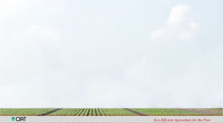 Análisis de Vulnerabilidad hídrica frente a escenarios de cambio climático en las cuencas de los ríos Tuluá, Guabas, Fraile y Desbaratado en el Departamento del Valle del Cauca