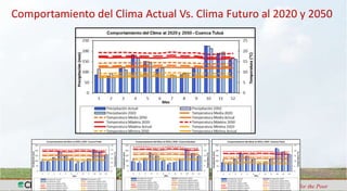 Análisis de Vulnerabilidad hídrica frente a escenarios de cambio climático en las cuencas de los ríos Tuluá, Guabas, Fraile y Desbaratado en el Departamento del Valle del Cauca