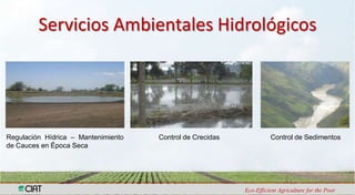 Análisis de Vulnerabilidad hídrica frente a escenarios de cambio climático en las cuencas de los ríos Tuluá, Guabas, Fraile y Desbaratado en el Departamento del Valle del Cauca