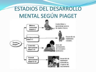 ESTADIOS DEL DESARROLLO
MENTAL SEGÚN PIAGET

 
