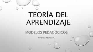 TEORÍA DEL
APRENDIZAJE
MODELOS PEDAGÓGICOS
Yolanda Muñoz A.
 