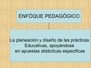 ENFÓQUE PEDAGÓGICO
La planeación y diseño de las prácticas
Educativas, apoyándose
en apuestas didácticas especificas
 