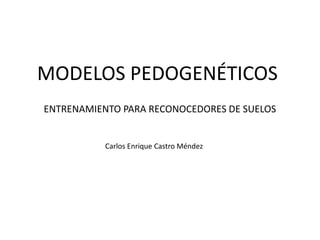 MODELOS PEDOGENÉTICOS
Carlos Enrique Castro Méndez
ENTRENAMIENTO PARA RECONOCEDORES DE SUELOS
 