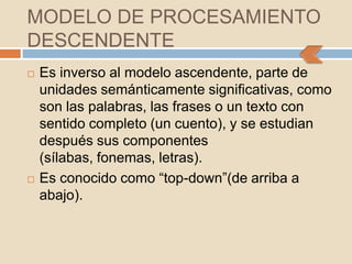 MODELO DE PROCESAMIENTO
DESCENDENTE
   Es inverso al modelo ascendente, parte de
    unidades semánticamente significativas, como
    son las palabras, las frases o un texto con
    sentido completo (un cuento), y se estudian
    después sus componentes
    (sílabas, fonemas, letras).
   Es conocido como “top-down”(de arriba a
    abajo).
 