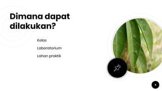 Dimana dapat
dilakukan?
Kelas
Laboratorium
Lahan praktik
4
 