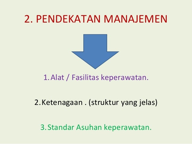 Model praktek keperawatan profesional